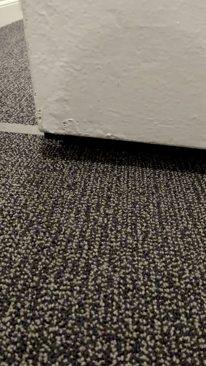 The gap under a fire door above a carpeted floor